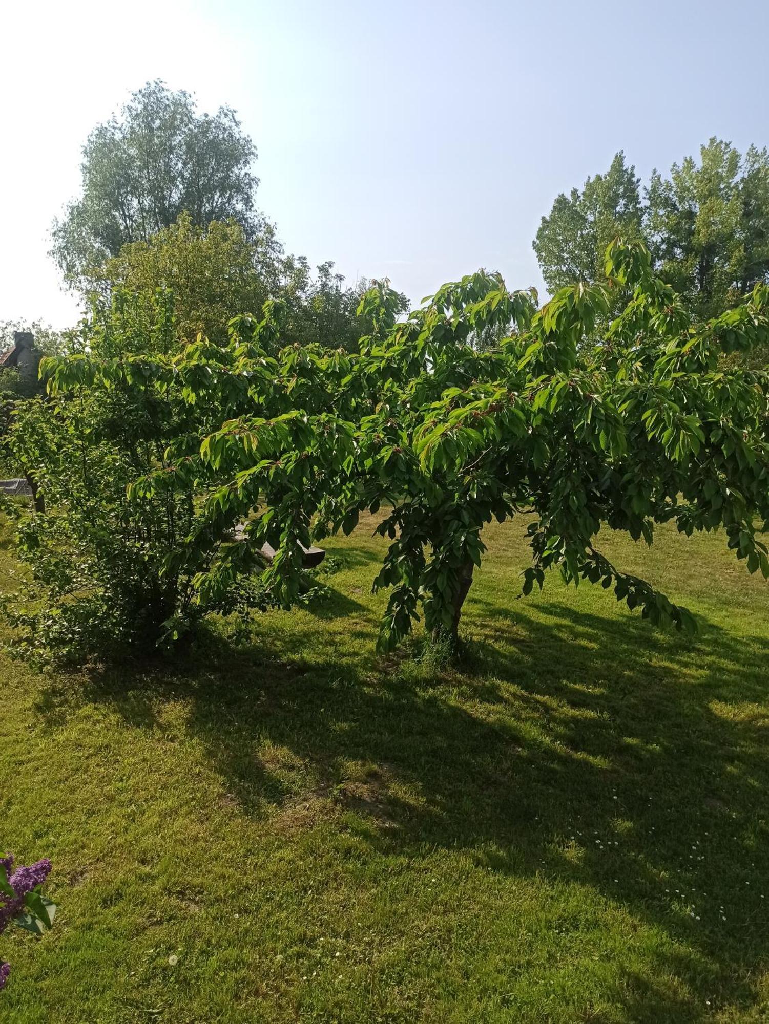 Zakatek Turysty Lodge Danzig